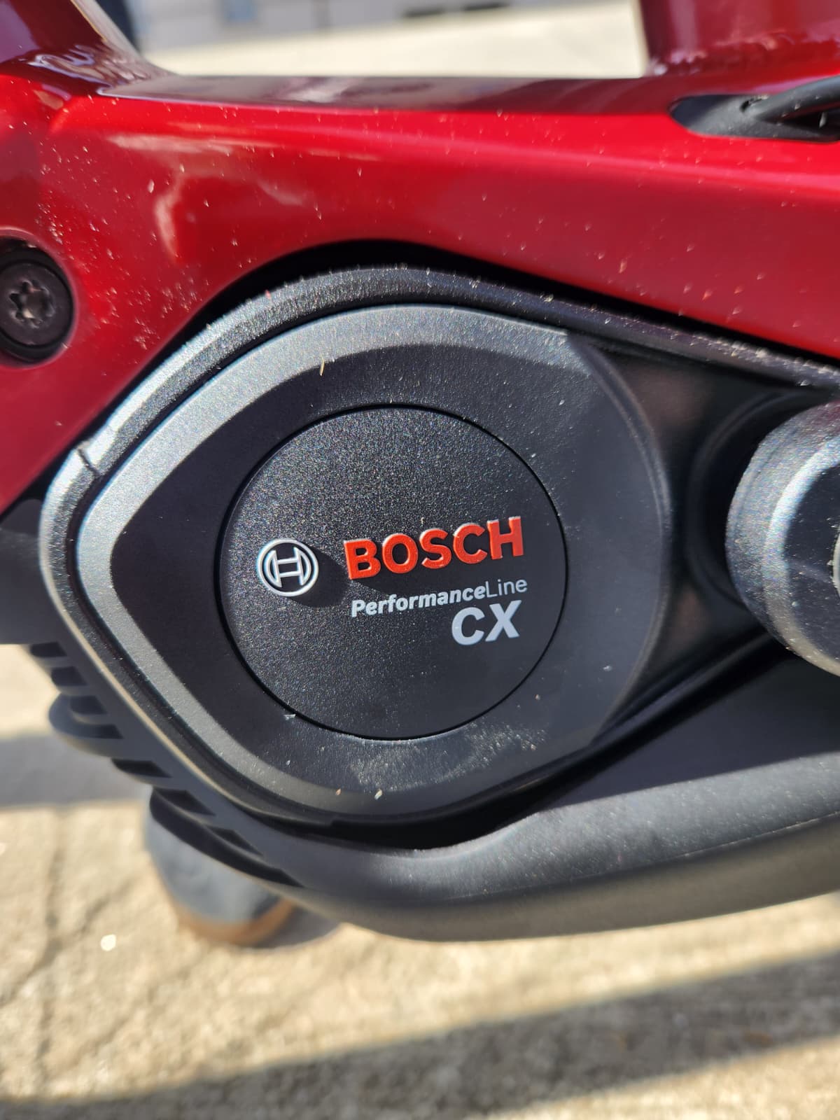 LOMBARDO SEMPIONE SPORT - immagine 4