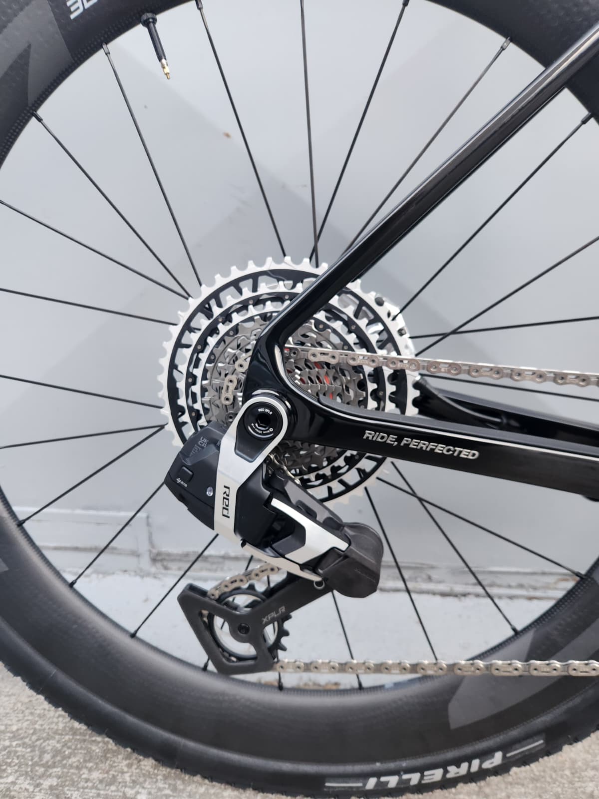 BASSO PALTA III RED - immagine 2