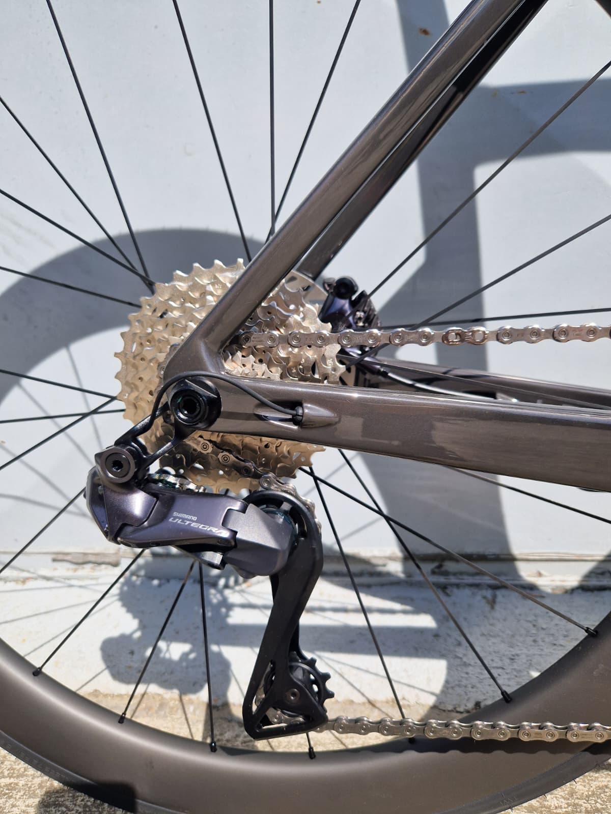 FOCUS IZALCO MAX 9.7 - immagine 2