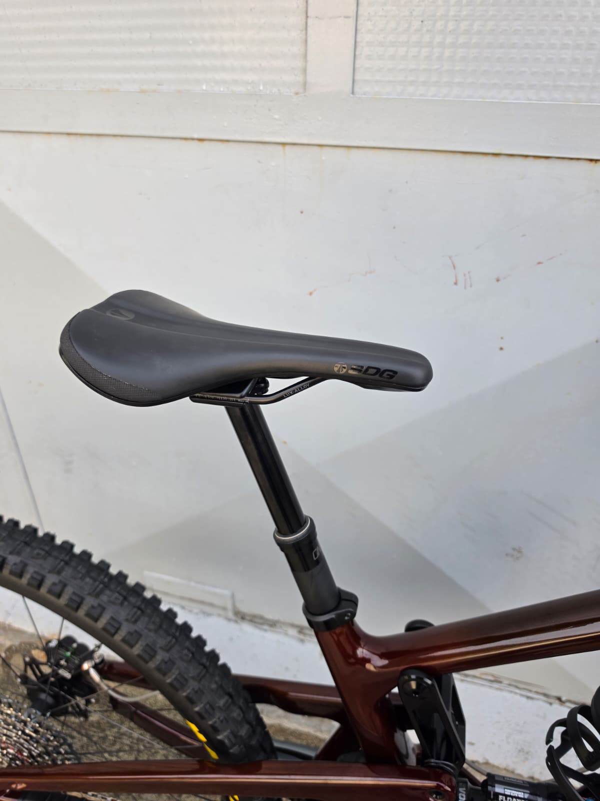 SANTA CRUZ BRONSON - immagine 4